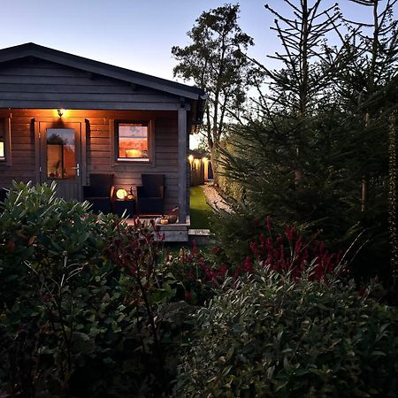 Chalet In Het Groen Met Airco Drachtstercompagnie Dış mekan fotoğraf