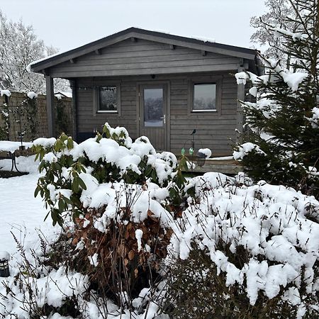 Chalet In Het Groen Met Airco Drachtstercompagnie Dış mekan fotoğraf