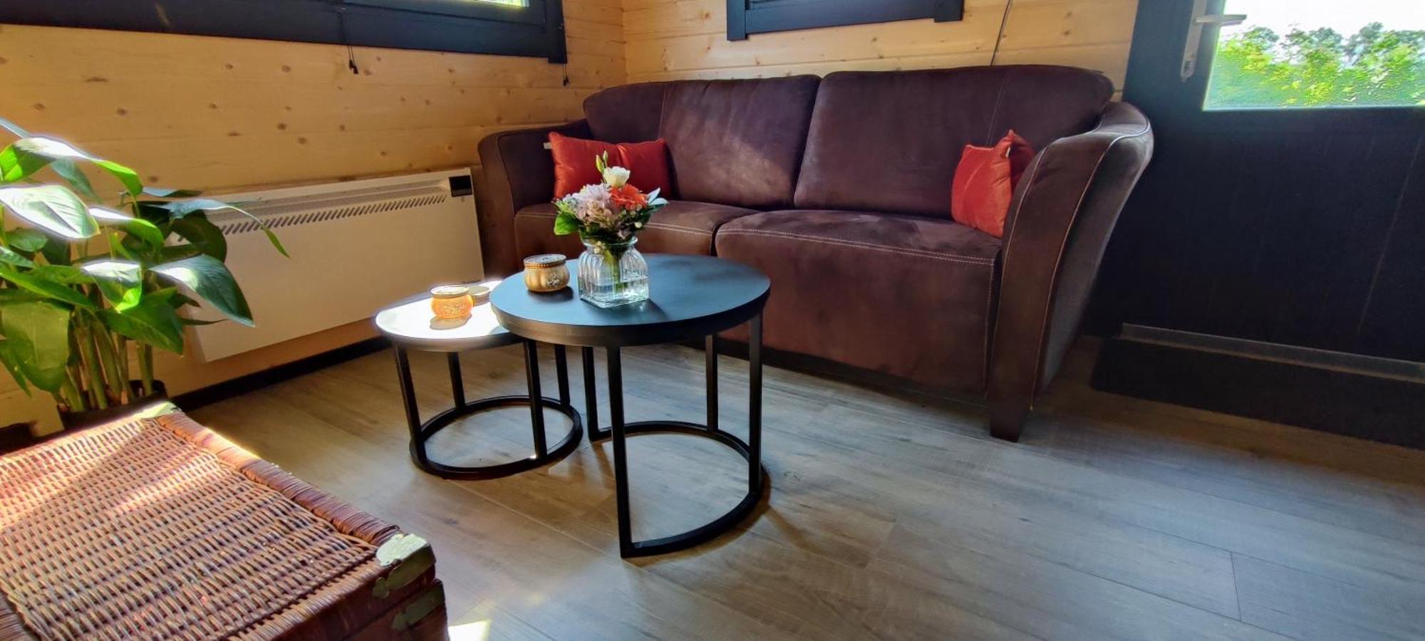 Chalet In Het Groen Met Airco Drachtstercompagnie Dış mekan fotoğraf