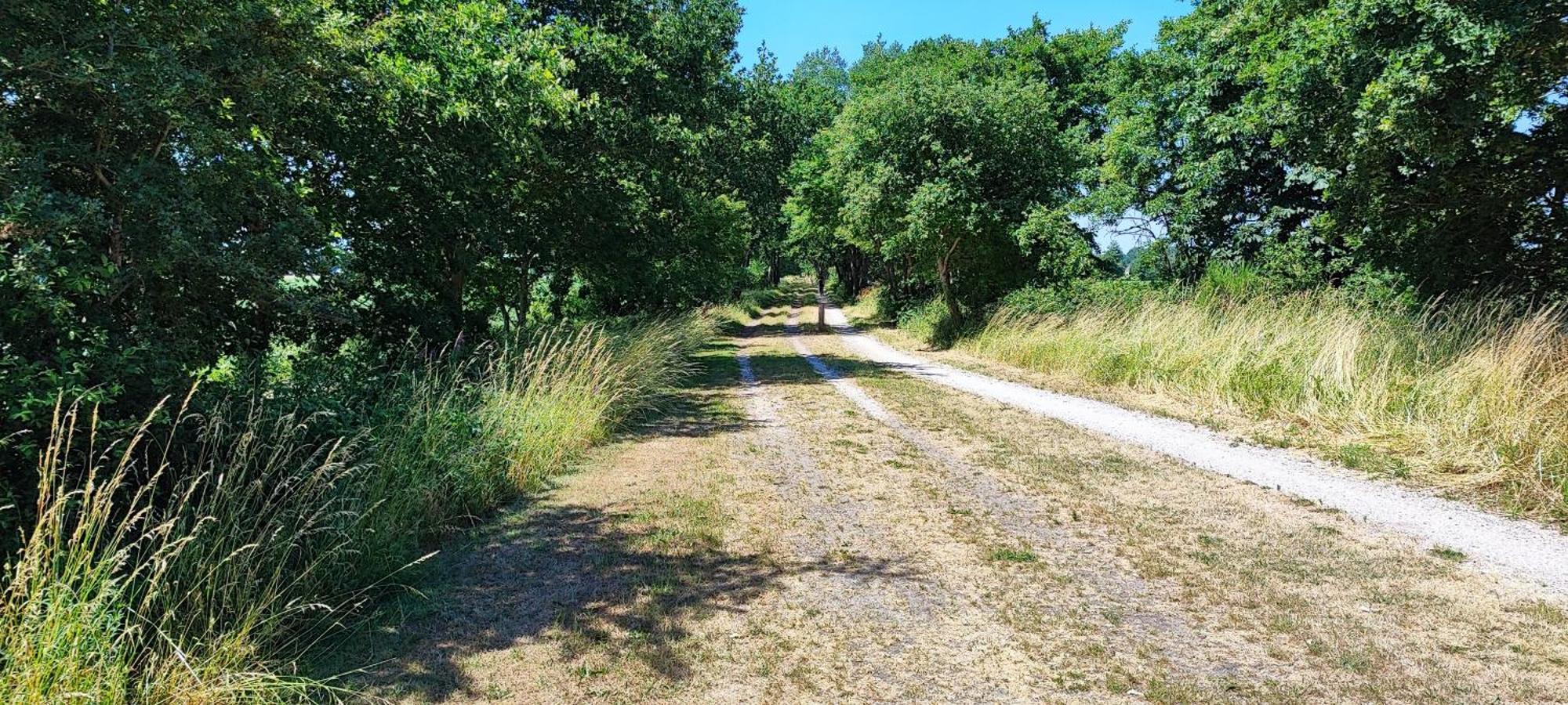 Chalet In Het Groen Met Airco Drachtstercompagnie Dış mekan fotoğraf